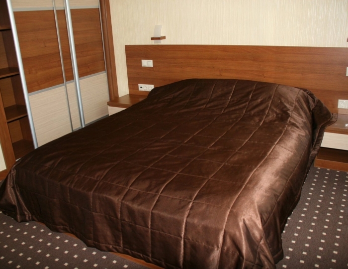 Люкс 2-местный - Санаторий-профилакторий «Росинка» Раздолье