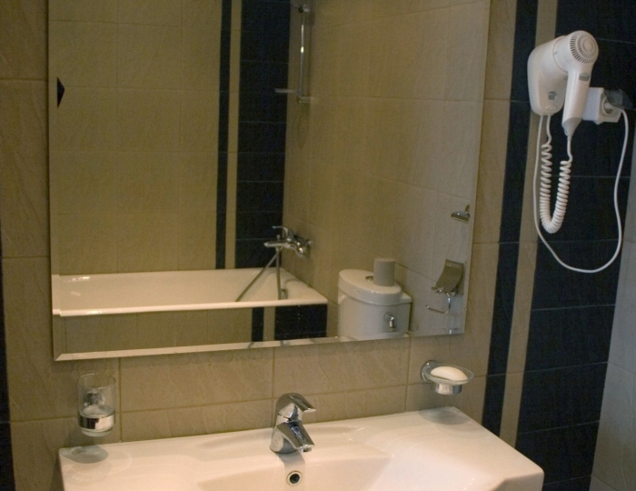 Люкс 2-местный - Санаторий-профилакторий «Росинка» Раздолье