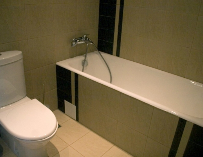 Люкс 2-местный - Санаторий-профилакторий «Росинка» Раздолье