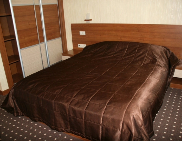 Полулюкс 2-местный - Санаторий-профилакторий «Росинка» Раздолье