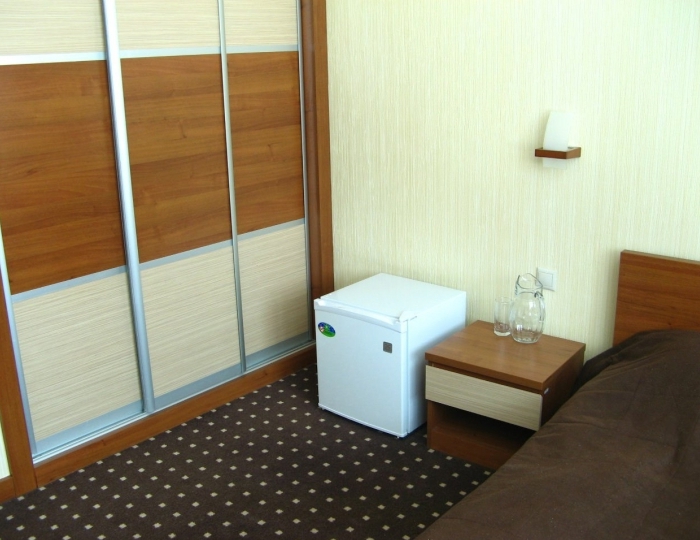 Стандарт 1-местный - Санаторий-профилакторий «Росинка» Раздолье